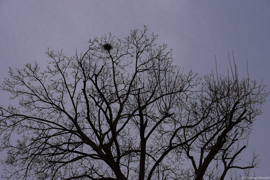 Crow's nest.
